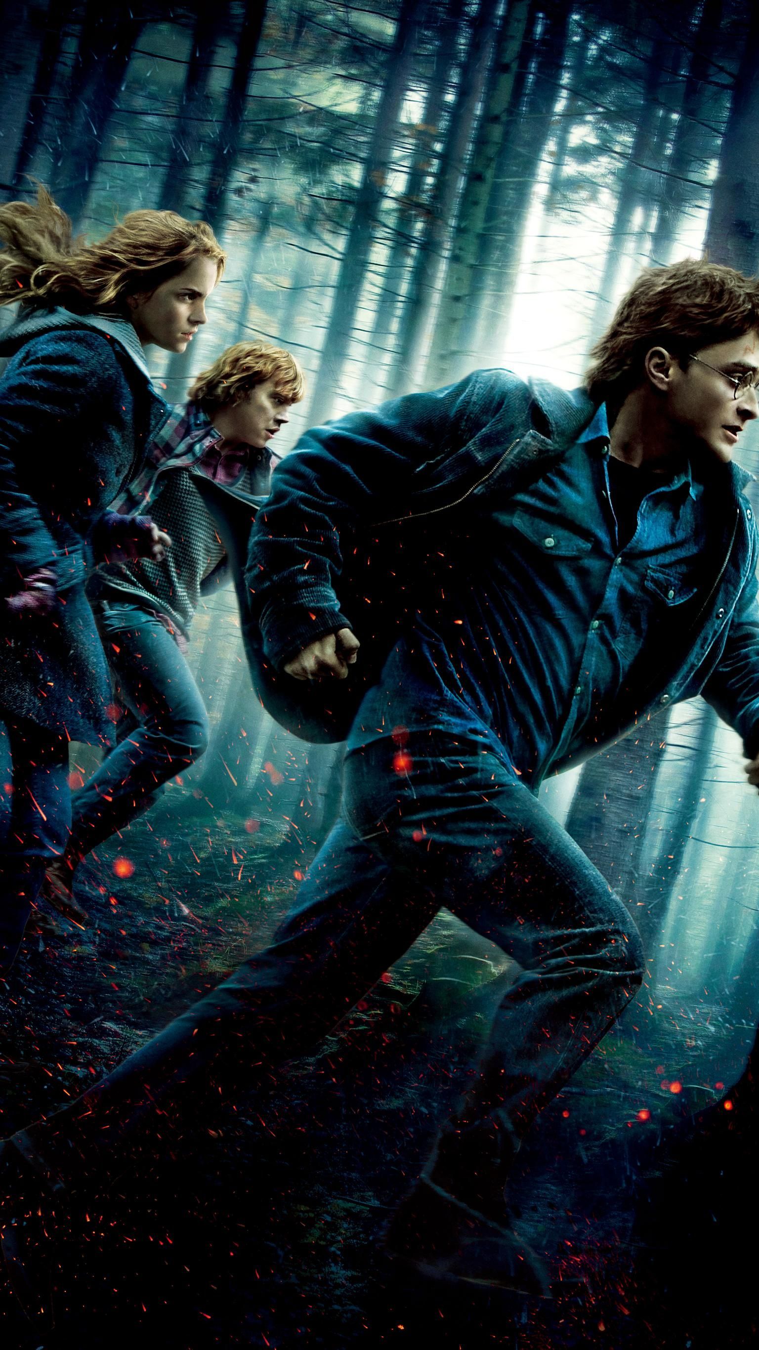 Harry Potter and the Deathly Hallows - Part 1
